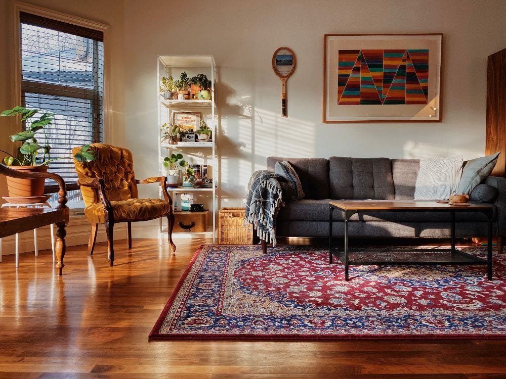professional area rug cleaning middlesex nj